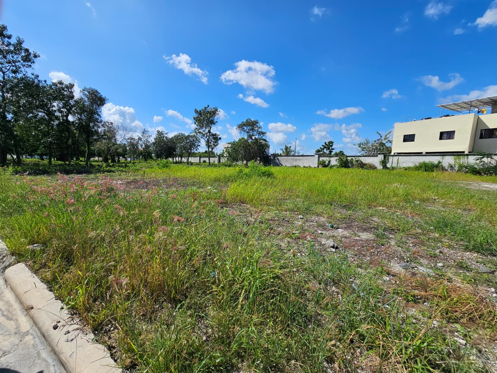 Solar en venta de 8,300 m² en RESIDENCIAL BAVARO PUNTA CANA, Punta Cana